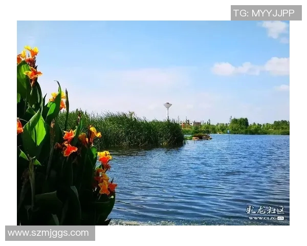 生态优先：探索可持续发展路径与人类共生的未来之路